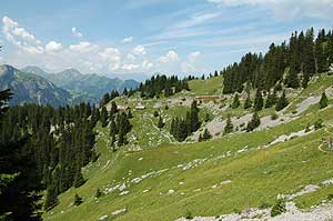 Schynige Platte Bahn