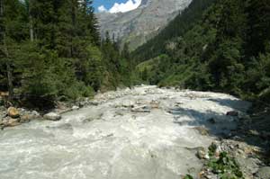 Tschingel L�tschine