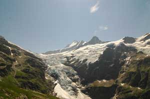 Oberer Grindelwaldgletscher