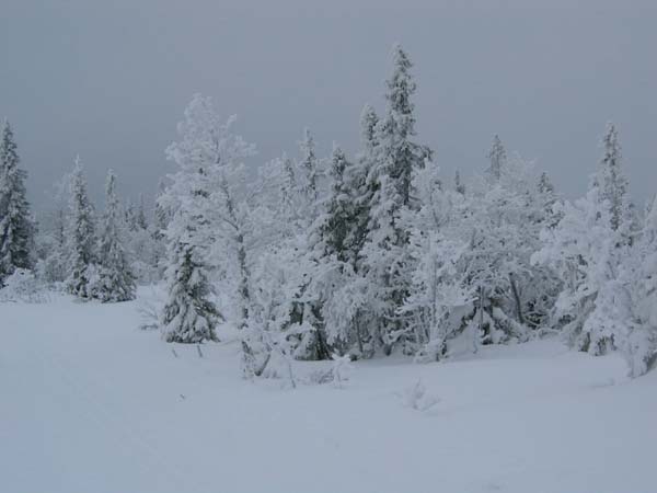 sjusjoen0104_0011