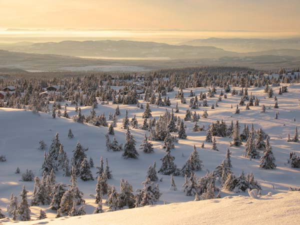 sjusjoen0104_0070
