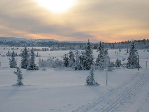 sjusjoen0104_0085