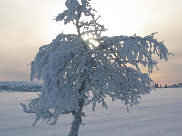sjusjoen0104_0087