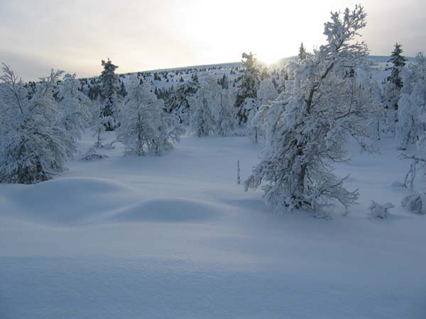 sjusjoen0104_0090