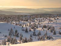 sjusjoen0104_0070