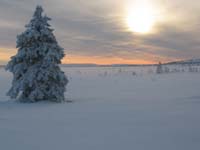 sjusjoen0104_0082