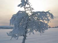 sjusjoen0104_0087
