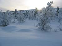sjusjoen0104_0090