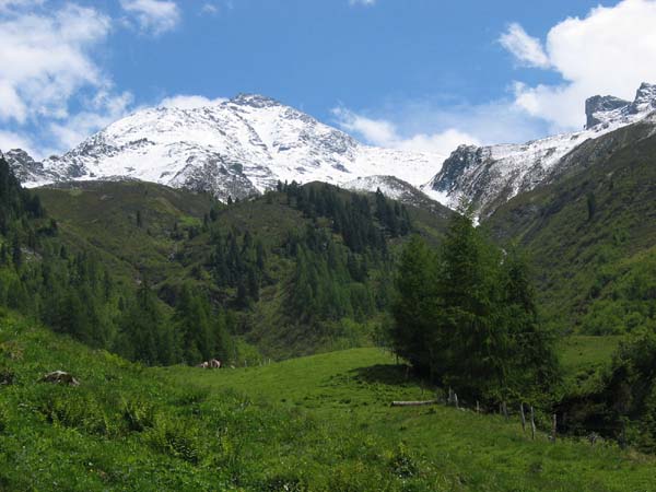zillertal05_0288